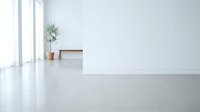 Minimalist white interior room with polished concrete floor, wooden bench, potted plant and large windows creating bright modern living space.