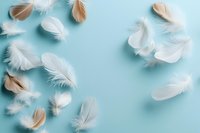 Delicate white and beige feathers scattered on soft blue background creating peaceful natural pattern for spa wellness meditation design projects.