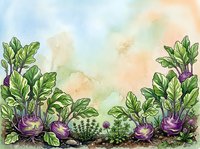 Watercolor illustration of purple kohlrabi plants with green leaves and soil, surrounded by garden vegetables in soft pastel tones, suitable for culinary, gardening, and agricultural design projects.