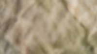 Soft blurred abstract background with warm beige and cream tones creating gentle bokeh effect for elegant design projects and presentations.