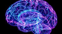 Glowing neon brain with electric neural pathways in purple and blue colors on black background for medical and technology concepts.