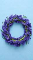 Purple lavender wreath on light blue background for spring decoration, aromatherapy and home decor projects.