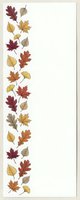 Autumn leaves border with maple oak and ginkgo foliage in warm fall colors on white background for seasonal greeting cards and decorations.