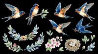 Swallows and floral elements isolated on transparent background, ready for t-shirt design, clipart, stickers, sublimation, and print-on-demand projects.