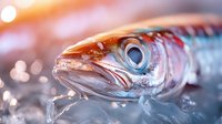 Fresh mackerel fish head close-up with water drops and bokeh lights in background, showing bright eye and shiny silver scales in dramatic lighting.