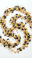 Mixed bird seed blend with sunflower seeds and corn arranged in circular pattern on white background for pet food and wildlife feeding concepts.