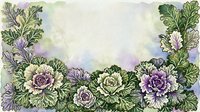 Watercolor illustration of blooming cabbage roses in purple and cream tones with lush green foliage, isolated on white background for design projects and botanical artwork.