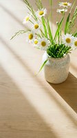 Fresh white daisies and green grass stems in speckled ceramic vase on wooden table with soft natural sunlight shadows creating peaceful home decor atmosphere.