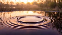 Water droplet creating concentric ripples on calm lake surface at golden hour sunset, reflecting warm light across peaceful nature landscape.