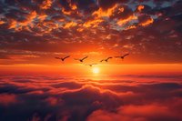 Dramatic sunset sky with birds flying over fluffy clouds illuminated by golden sunlight, creating a breathtaking aerial landscape.