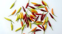 Colorful hot chili peppers scattered on white background. Fresh spicy vegetables in red, yellow, orange and green colors for cooking and seasoning recipes.