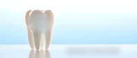 Clean white tooth model on reflective surface with soft blue gradient background for dental care and oral health concepts.