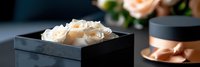 Elegant white roses arranged in luxury black gift box with soft romantic lighting and blurred floral background for special occasions and celebrations.