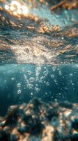 Underwater view of ocean surface with sunlight creating golden reflections and rising air bubbles in turquoise water. Perfect for environmental themes.