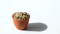 Terracotta pot filled with mixed seeds and nuts on white background isolated for healthy snacking and cooking ingredients design projects.