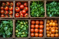 Fresh organic produce in wooden crates featuring ripe tomatoes in various colors, green herbs and leafy vegetables arranged in rustic market display for healthy eating.