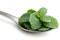 Fresh mint leaves on silver spoon against white background, aromatic herb garnish for cocktails, tea and culinary use, macro food photography.