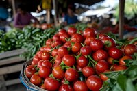 Fresh ripe red tomatoes displayed at outdoor farmers market stall with green vegetables in background. Organic local produce for healthy cooking and nutrition.