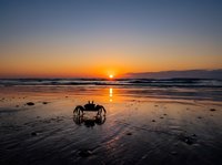 Crab on wet sand beach at sunrise with golden sun reflecting on water and mountains in distant horizon at dawn.