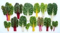 Fresh rainbow chard leaves collection showing colorful stems in red, yellow, white and orange varieties arranged on white background for cooking recipes.