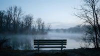 Peaceful morning mist rises over calm lake with empty wooden bench in foreground, bare winter trees creating serene atmosphere for meditation and relaxation.
