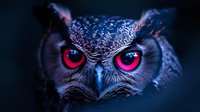 Dramatic close-up of great horned owl with glowing red eyes against dark background, fierce predator gaze and detailed feather texture creates mysterious atmosphere.