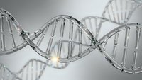 Glass DNA double helix structure with molecular bonds and genetic code sequences for biotechnology research and medical science applications.
