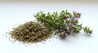 Fresh and dried thyme herbs with purple flowers on white background. Culinary spice for cooking, natural medicine and aromatherapy applications.
