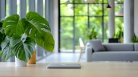 Minimalist workspace with monstera plant on wooden desk near window, laptop and grey sofa in blurred background creating modern home office atmosphere.
