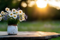 Fresh daisies and wildflowers in rustic white ceramic vase on wooden surface at sunset, with soft bokeh background creating romantic countryside atmosphere.