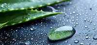 Fresh aloe vera leaf with water drops on black surface, macro shot showing natural moisture and dewdrops in spa wellness setting.