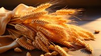 Golden ripe wheat ears on rustic fabric background in warm sunlight, agricultural harvest concept for bakery and farming business promotion.