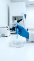 Laboratory scientist hand in blue glove holding pipette over petri dish in modern research facility for medical testing and scientific analysis.