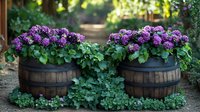 Purple flowers blooming in rustic wooden barrel planters create charming garden display for outdoor landscaping and container gardening projects.