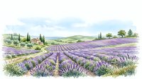 Watercolor lavender field landscape with a rustic farmhouse, rolling hills, and cypress trees under a soft sky, isolated on white background.