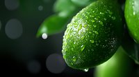 Fresh green lime with water drops on dark background, macro shot with selective focus and bokeh effect creates appetizing food composition.
