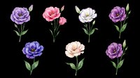 Watercolor lisianthus flowers set in purple, pink, and white tones, isolated on transparent background. For clipart, stickers, t-shirt design, sublimation, print on demand.