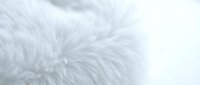 Soft white fluffy fur texture close-up with natural lighting creating gentle shadows and highlights for luxury fashion and comfort concepts.
