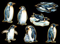 Penguin family collection with adult birds and chick in various poses, isolated on transparent background. Ready for t-shirt design, clipart, stickers, sublimation, and print-on-demand products.