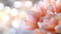 Delicate pink tulip petals in soft focus with dreamy bokeh light effects creating romantic spring atmosphere. Gentle floral macro photography.
