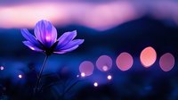 Purple cosmos flower silhouetted against blurred bokeh lights at dusk, creating dreamy atmospheric scene with mountain backdrop and pink-purple sunset sky.