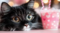 Close up portrait of black cat with expressive eyes next to pink milkshake with hearts pattern and striped straw against blurred bokeh background.
