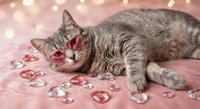 Adorable tabby cat lying on pink surface with heart decorations and warm bokeh lights creating romantic Valentine's Day atmosphere for pet lovers.