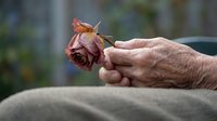 Elderly hands holding withered dried rose flower symbolizing memories, loss, aging, nostalgia and passage of time in soft natural light for emotional concepts.
