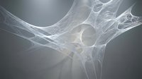 X-ray image of human shoulder joint showing bone structure, anatomy and medical imaging for healthcare, orthopedic diagnosis and educational purposes.