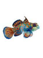 Colorful mandarin fish with vibrant orange, blue, and turquoise patterns isolated on white background, ready for design projects, clipart, and merchandise applications.