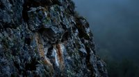 Dramatic rocky cliff face with textured stone surface and moss details against moody blue twilight sky for nature and landscape photography projects.