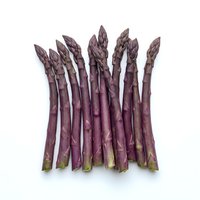 Fresh purple asparagus spears isolated on white background, ready for culinary design, recipe content, and food packaging projects.