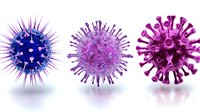 Microscopic virus cells in blue, purple and pink colors with spiky surface proteins on white background, medical science visualization concept.