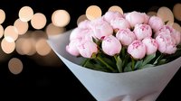 Fresh pink peony bouquet in white modern vase against blurred bokeh lights background, romantic floral arrangement for special occasions and home decor.